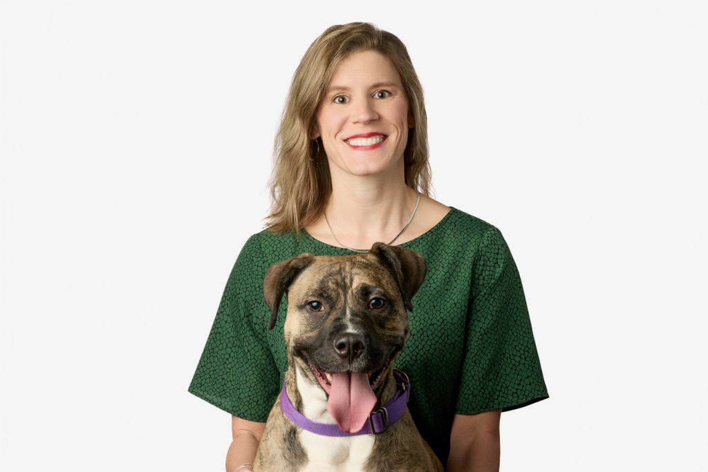 Dog with veterinarian